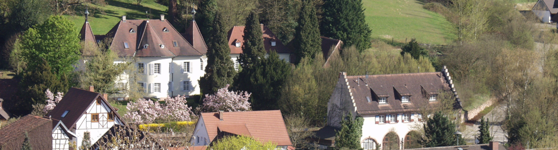Leitbild – Dorfentwicklung Heimbach